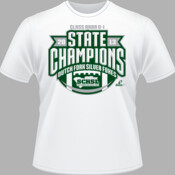 2013 SCHSL Football State Champions - Class AAAA Division I - Dutch Fork Silver Foxes